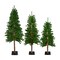 Northlight Pre-Lit Slim Alpine Artificial Christmas Trees - 6' - Multi Lights - Set of 3